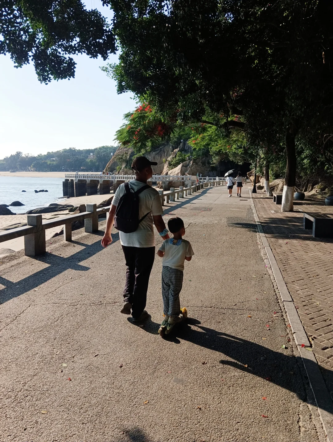 厦门旅游年卡第7站：鼓浪屿一日游