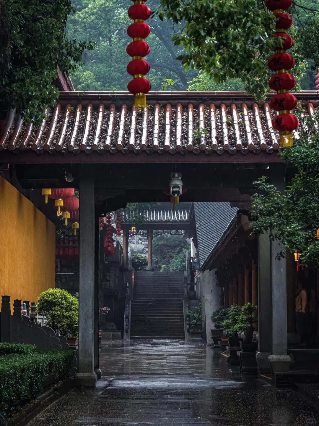 杭州行，总要吹一吹西湖那温柔的晚风吧～