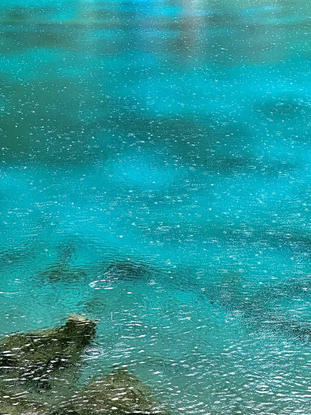 6.1实拍，下雨的九寨沟是星河。。。美到失语🥹