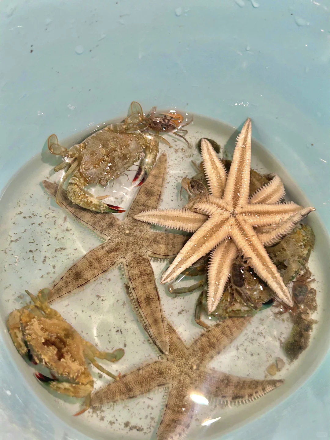 陵水4天3夜超经典亲子游路线❗️全都是干货