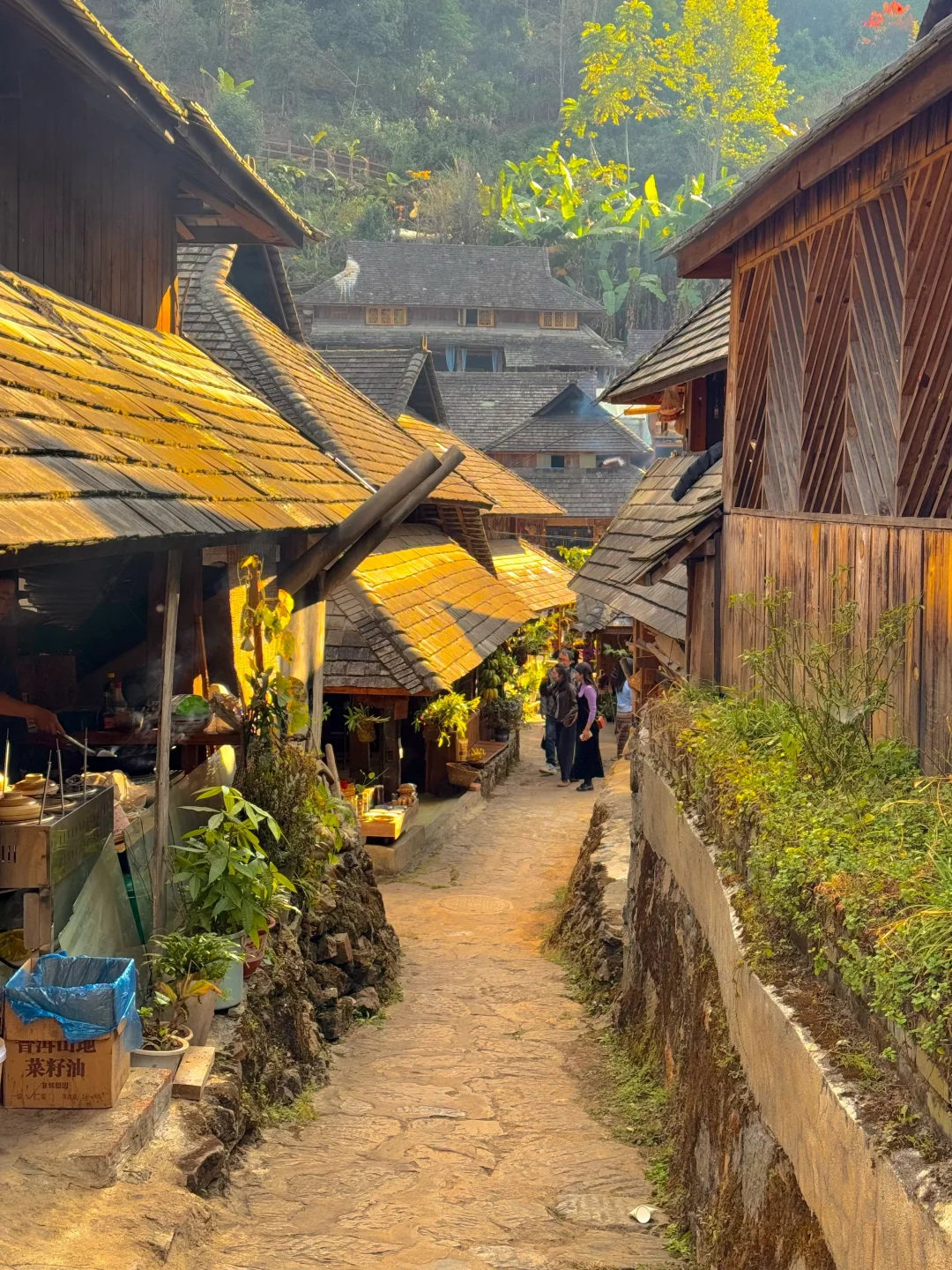 推荐一个真正冷门又治愈的避世村落‼️