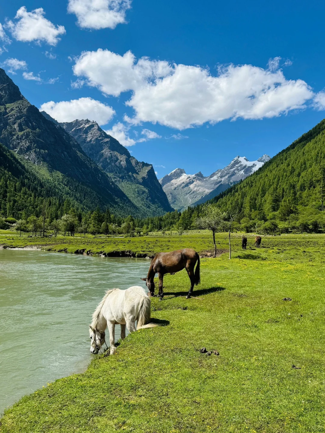 和老公去了夏天的川西，真的比瑞士还震撼