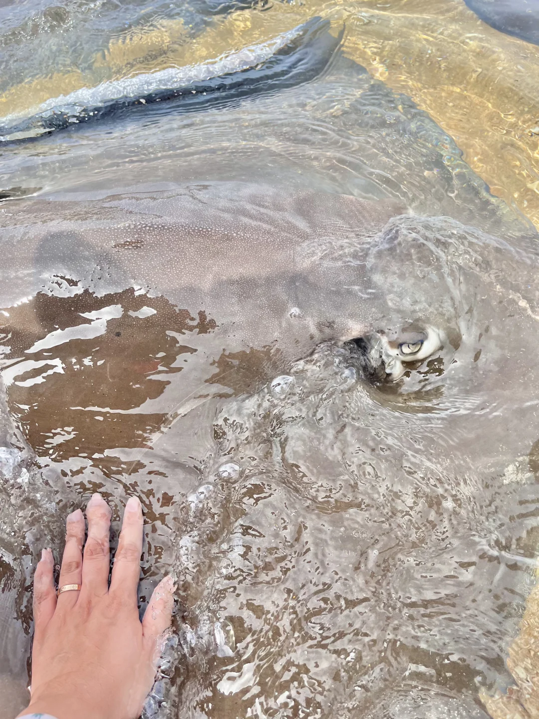 陵水4天3夜超经典亲子游路线❗️全都是干货