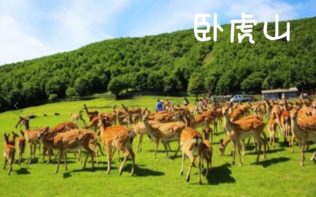 景点美景分享【五大连池】