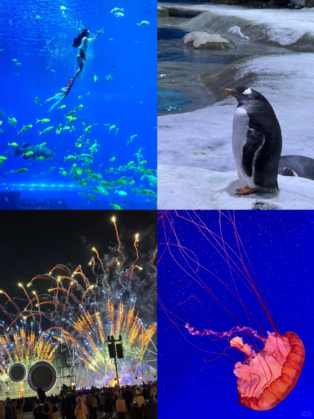 陵水4天3夜超经典亲子游路线❗️全都是干货