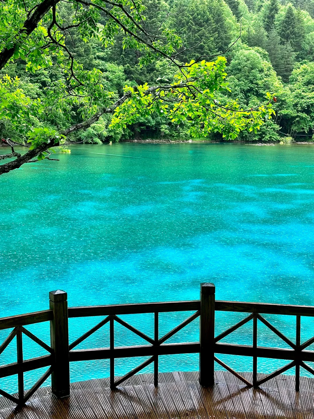 6.1实拍，下雨的九寨沟是星河。。。美到失语🥹