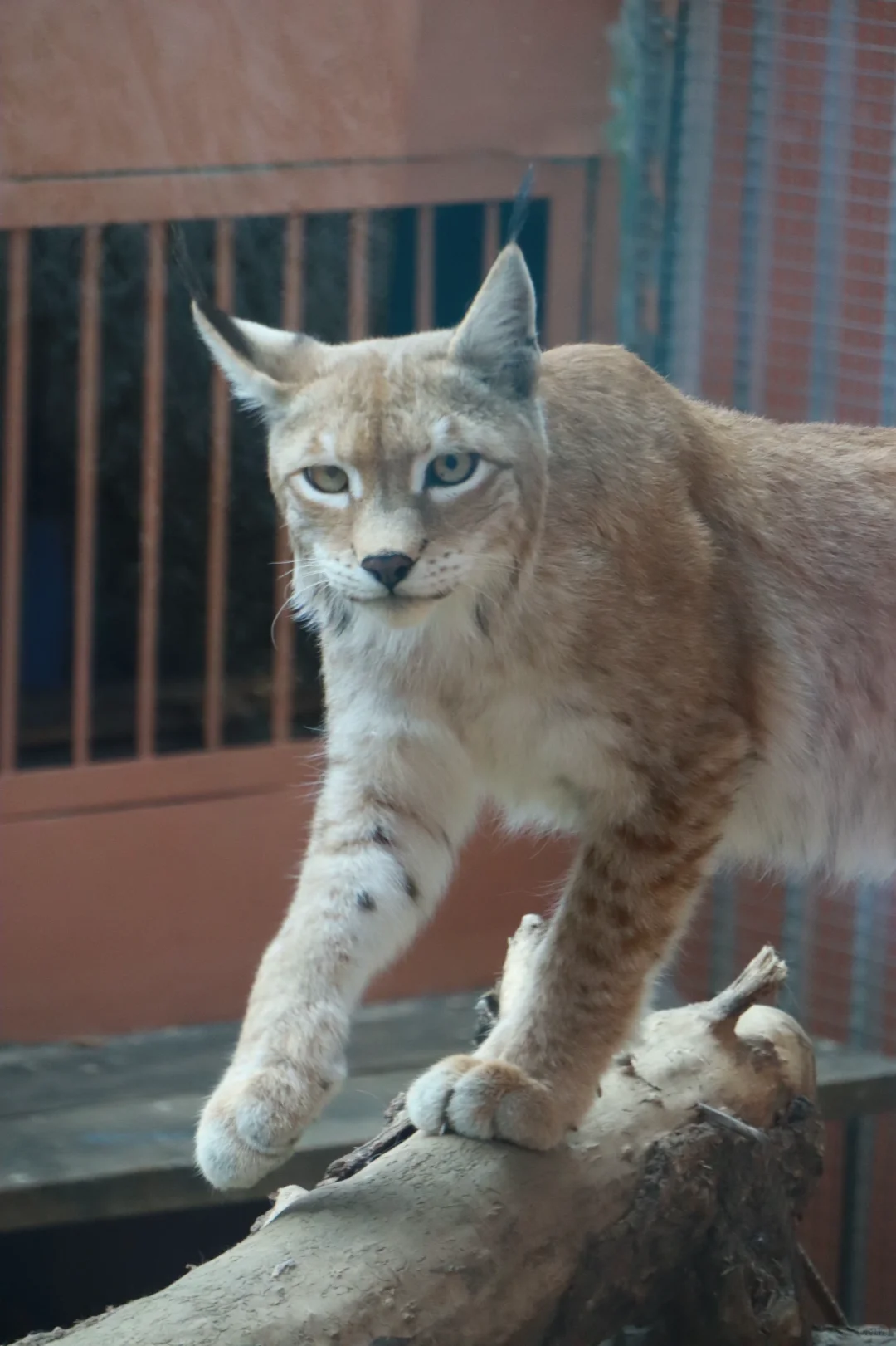 迷茫的年轻人确实把旅行捧得太高了