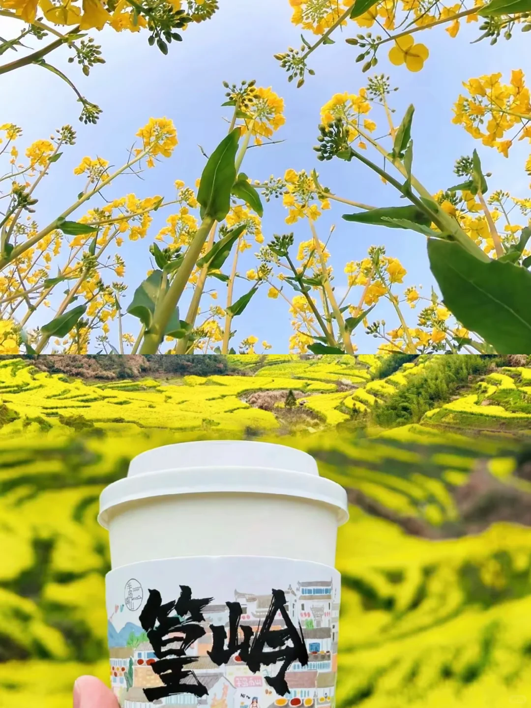 04女大📍 婺源+景德镇+南昌｜保姆级详细攻略