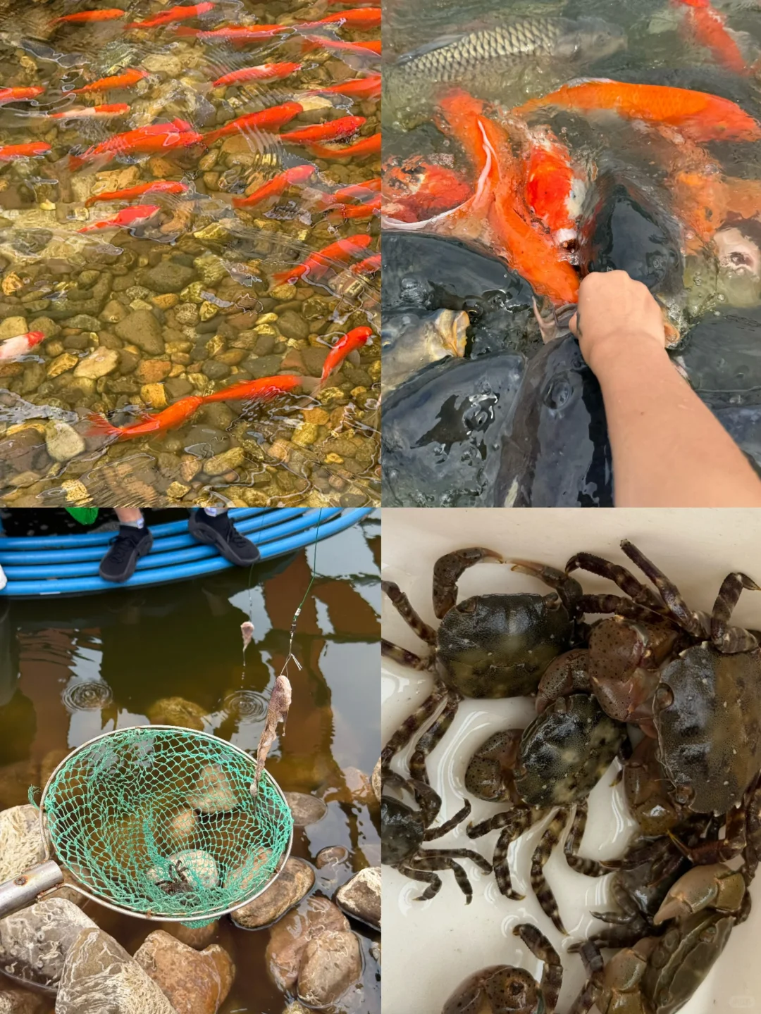 迄今为止，我zui喜欢的北方海边度假胜地出现