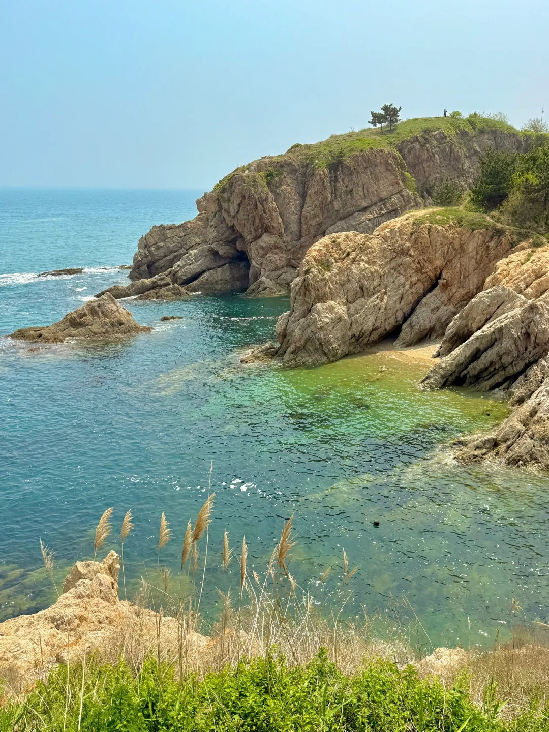 刚离开大连,哭着发出18张live图!😭