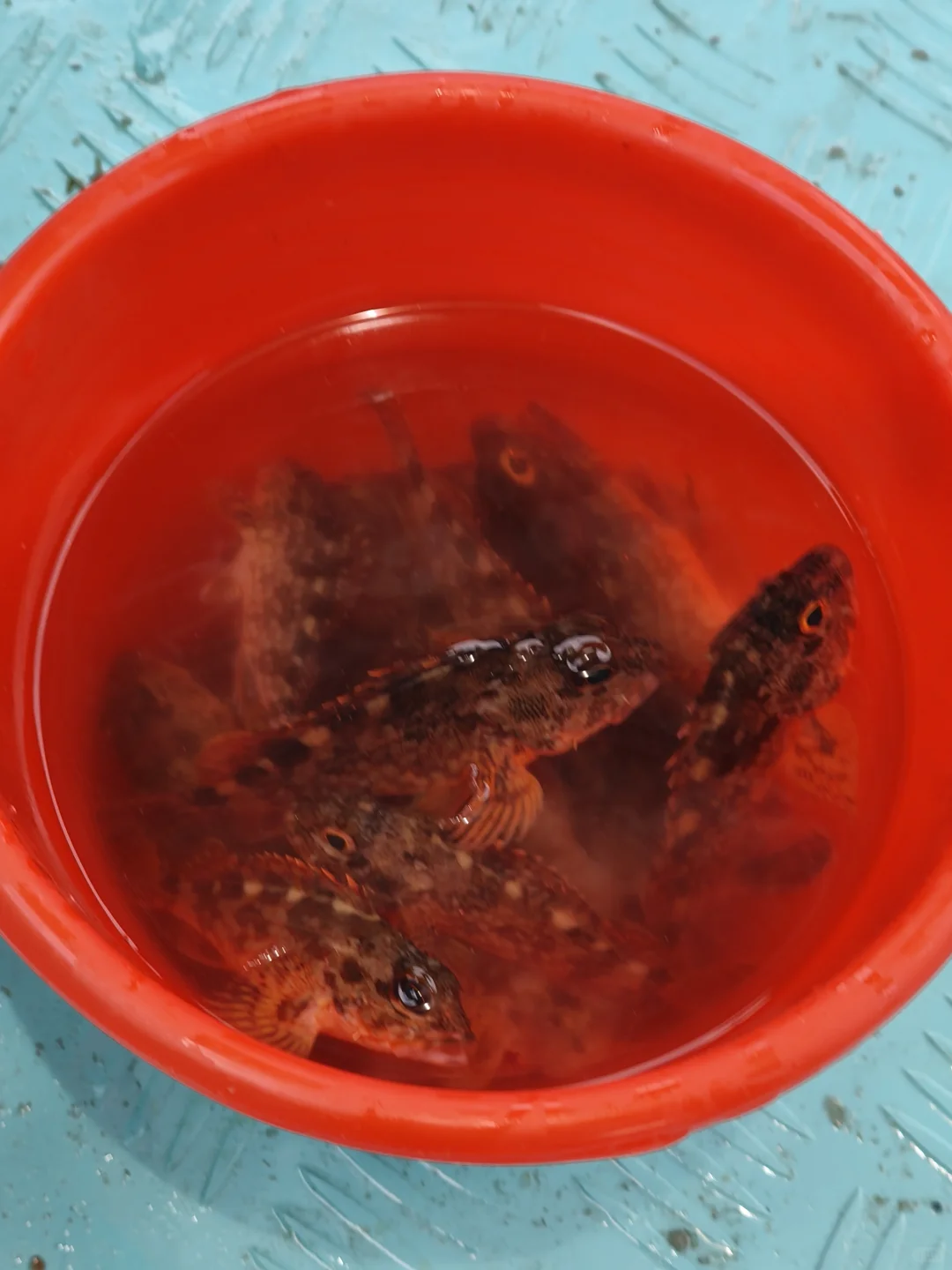 端午平潭岛已去，真实感受攻略来啦