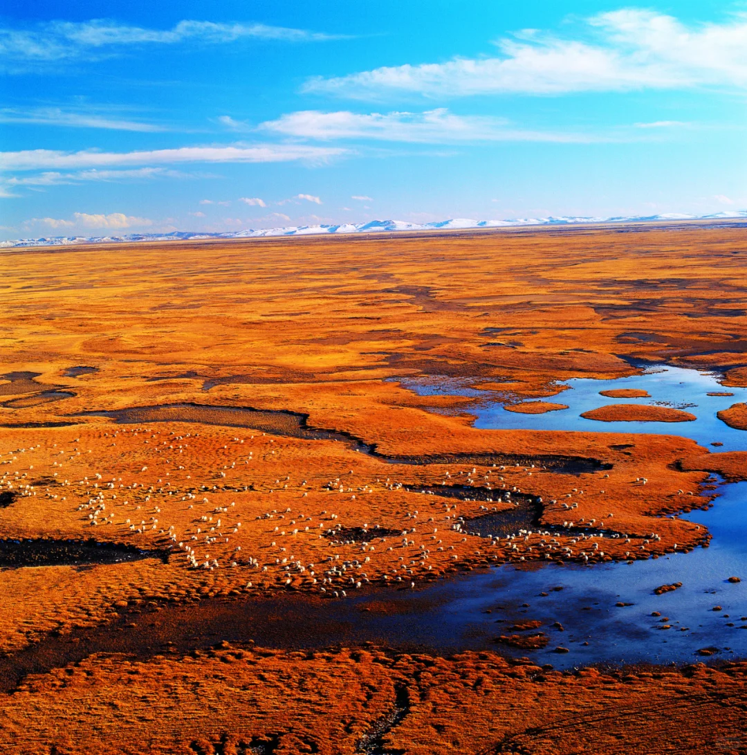 带着它，解锁中国顶级美景