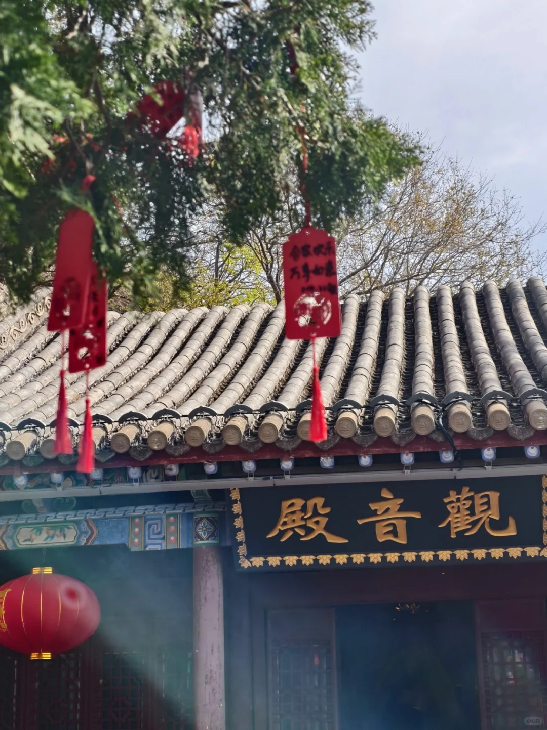 学生党速冲！1天玩转千年石窟攻略