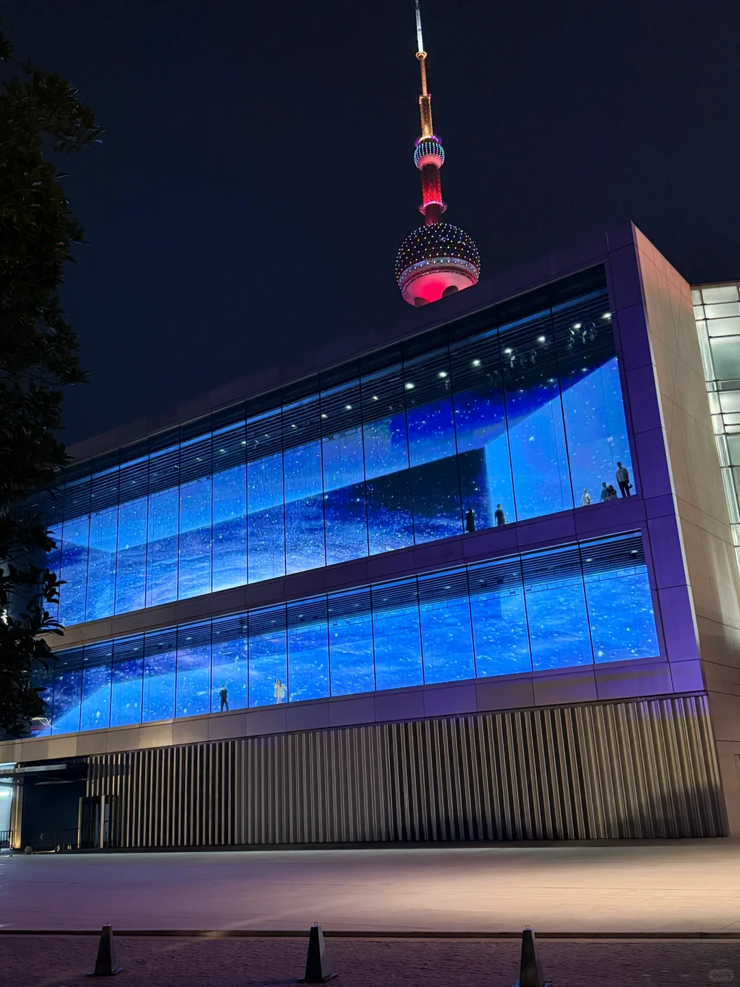 上海最好的地方都是免费的