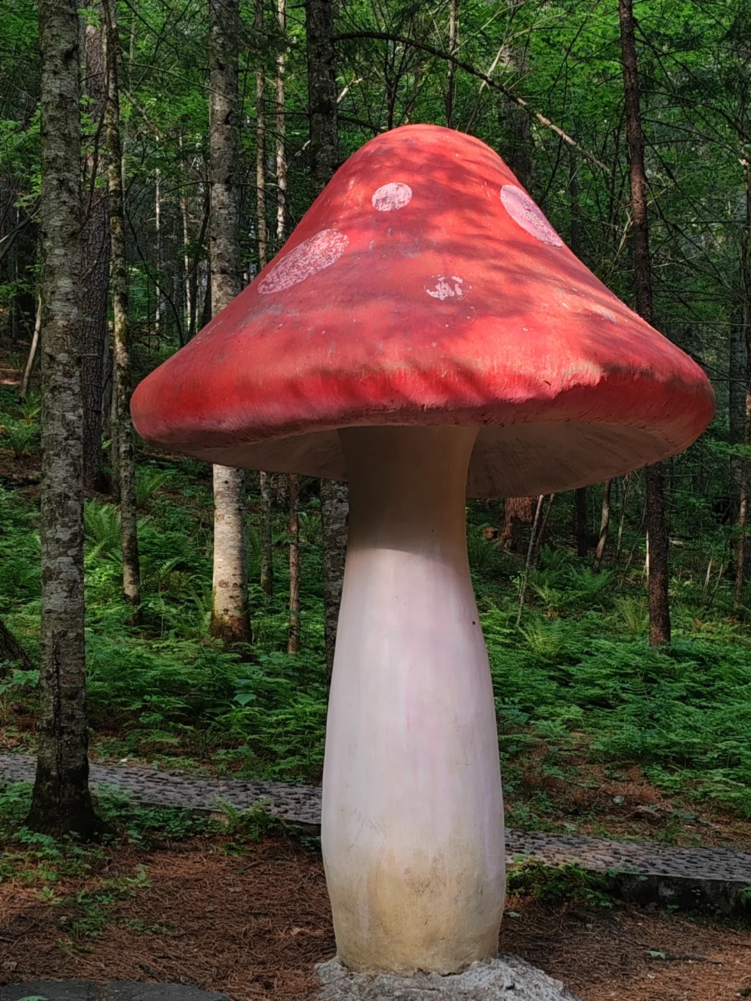 大学生伊春旅行3天2晚花费550元攻略来啦