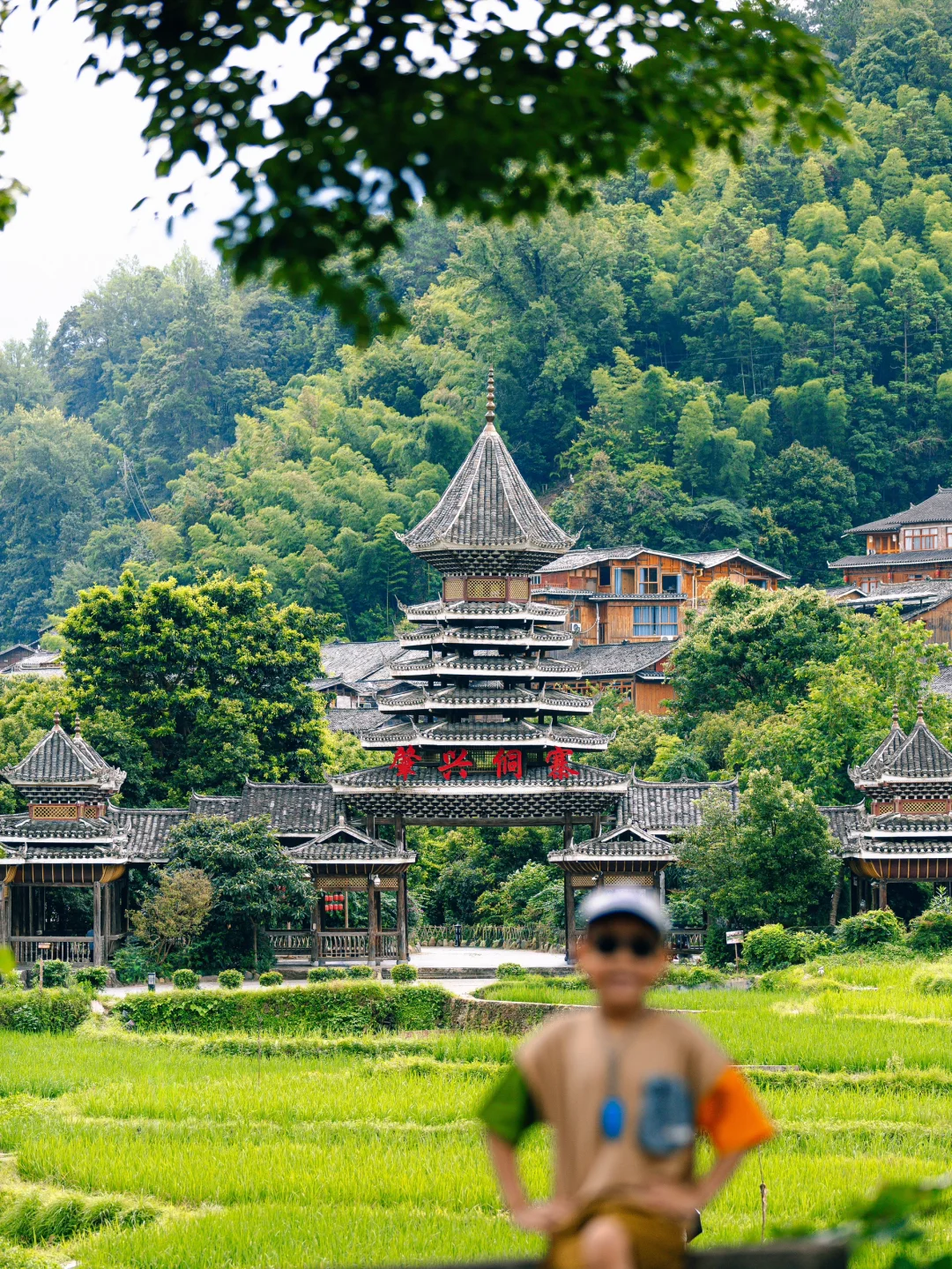 人生建议:带孩子去贵州,一定要暑假去‼️