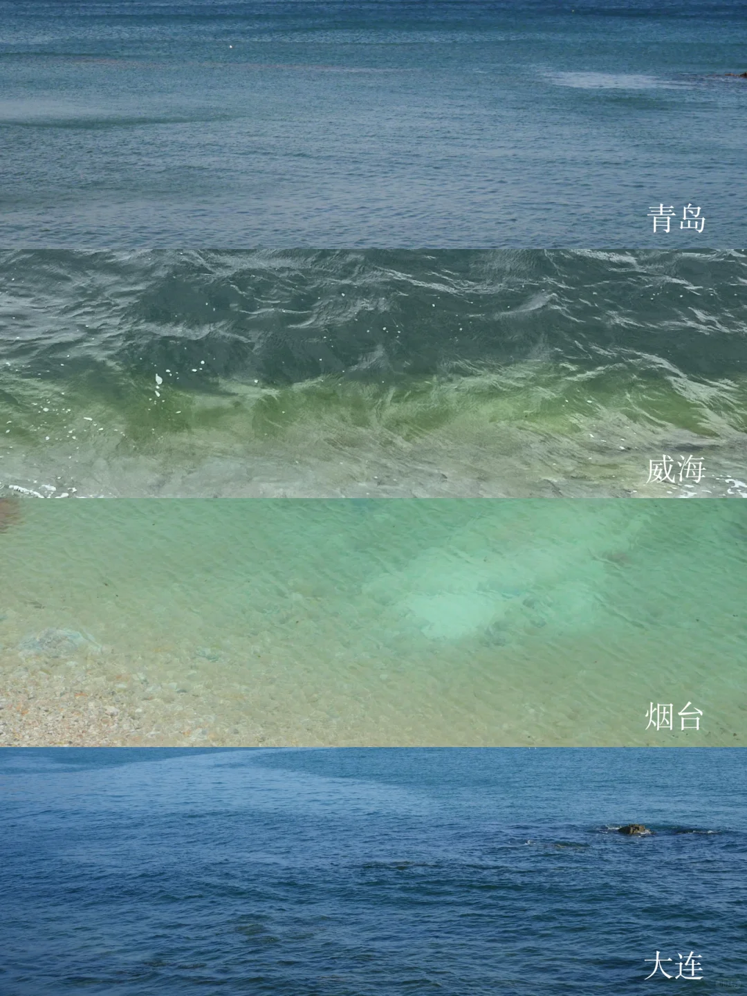 青岛威海烟台大连丨11天10夜一人行旅游攻略