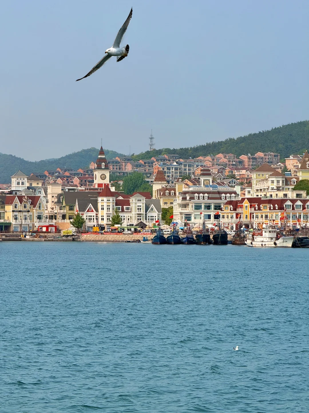 刚离开大连,哭着发出18张live图!😭