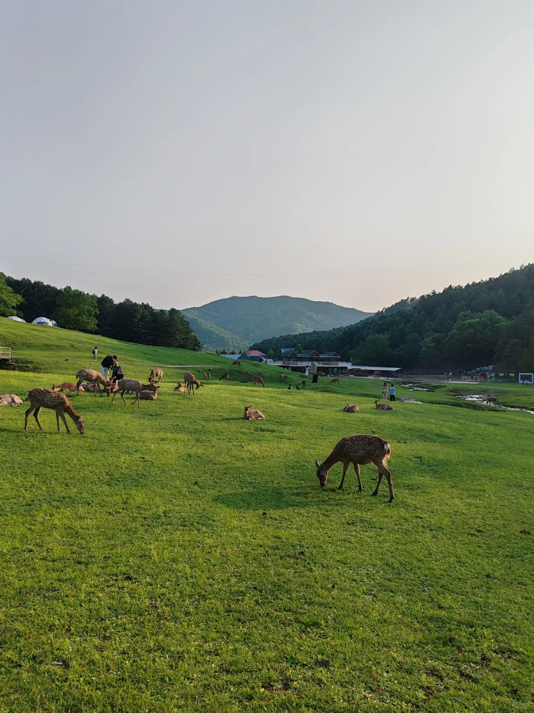 大学生伊春旅行3天2晚花费550元攻略来啦
