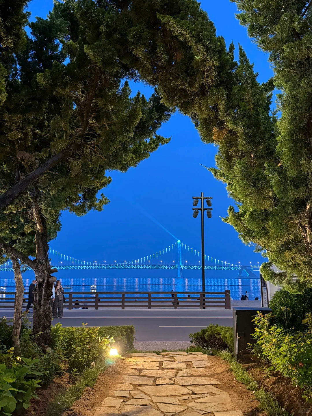 刚离开大连,哭着发出18张live图!😭