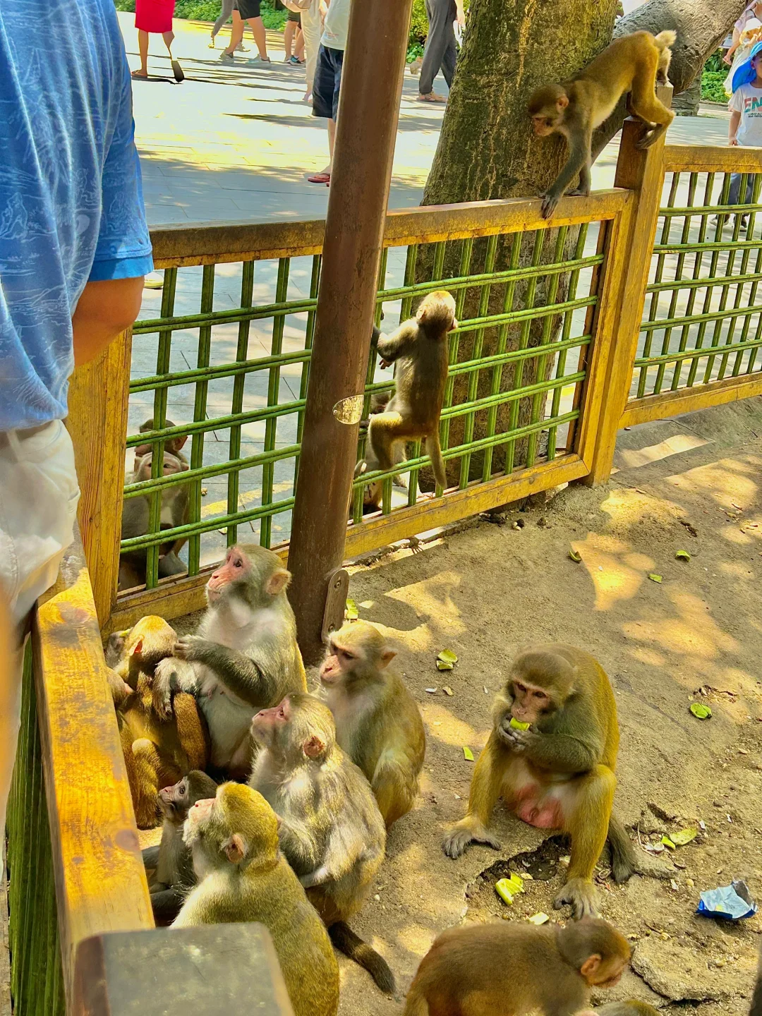 陵水4天3夜超经典亲子游路线❗️全都是干货