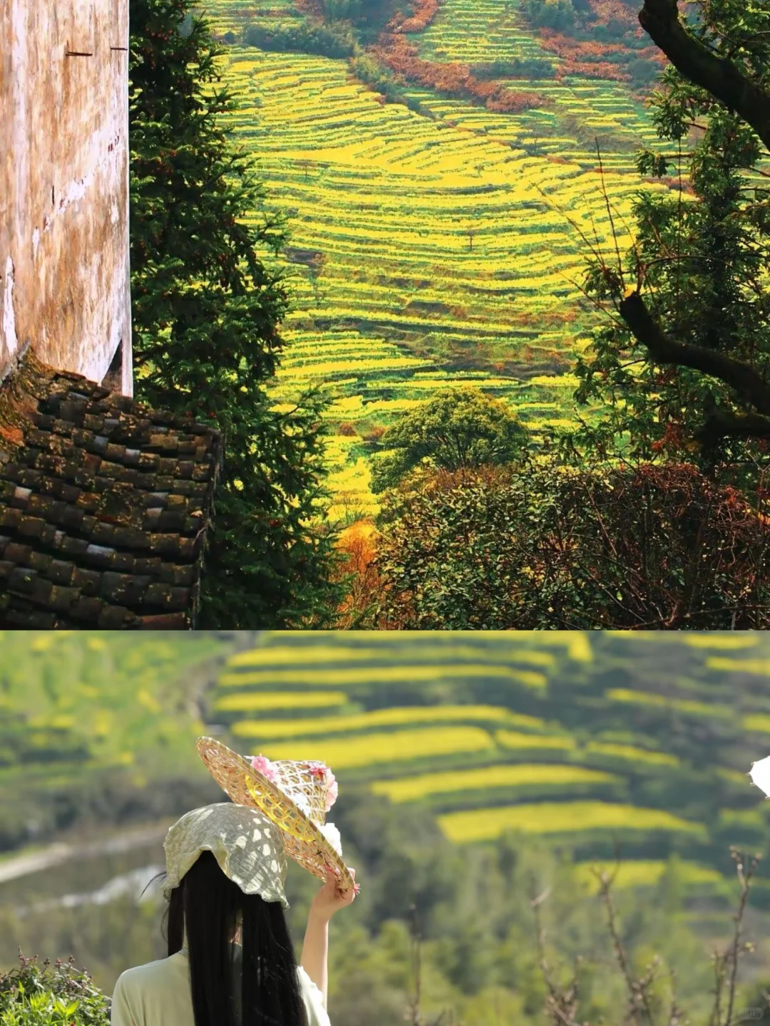 04女大📍 婺源+景德镇+南昌｜保姆级详细攻略