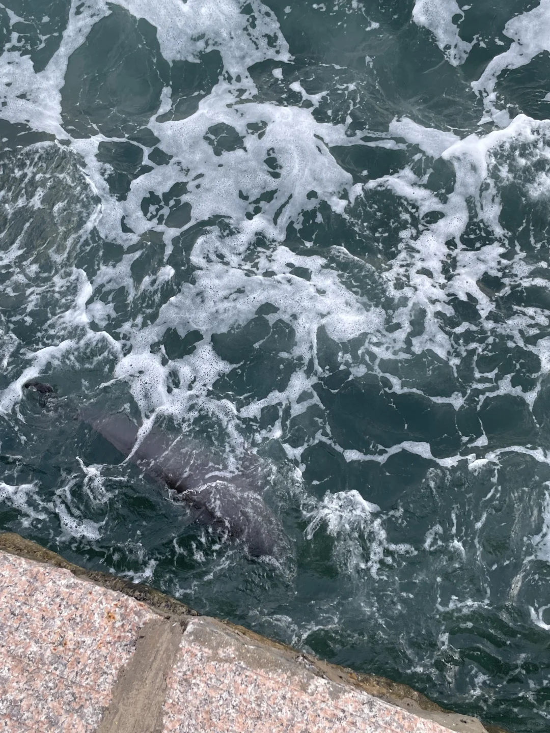 青岛-威海-烟台-大连丨9天自由行