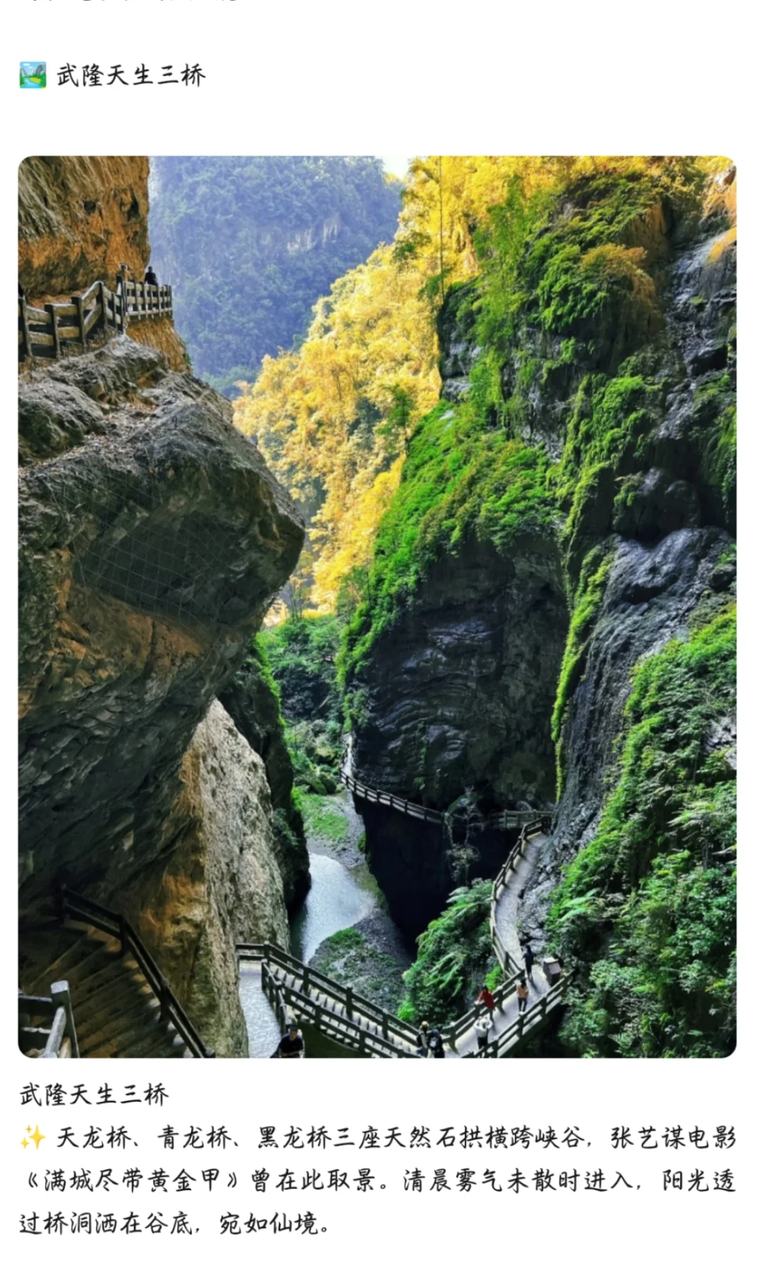 重庆必玩TOP5景点✨