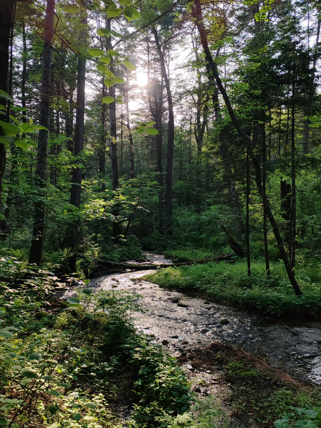 大学生伊春旅行3天2晚花费550元攻略来啦