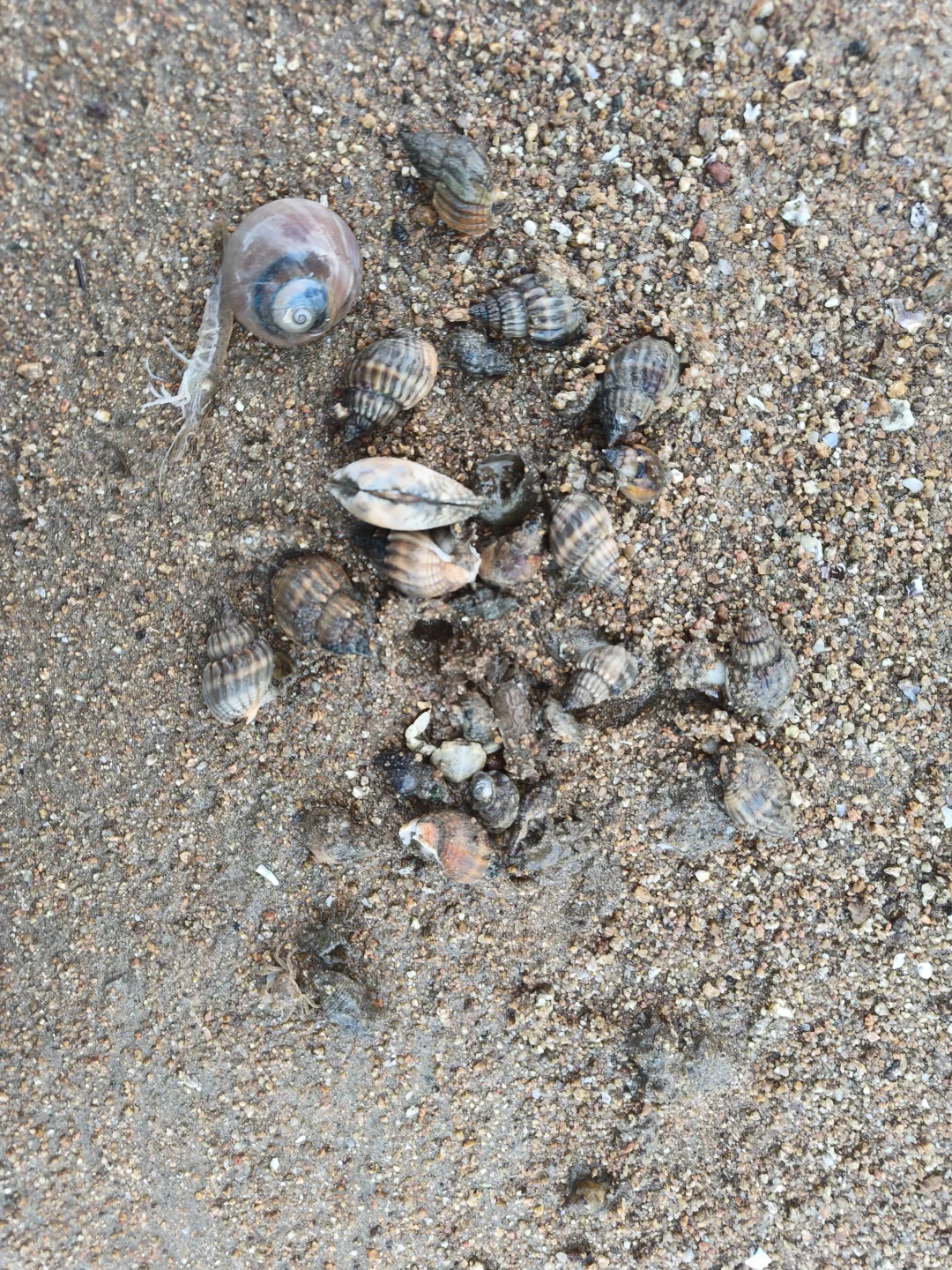 端午平潭岛已去，真实感受攻略来啦