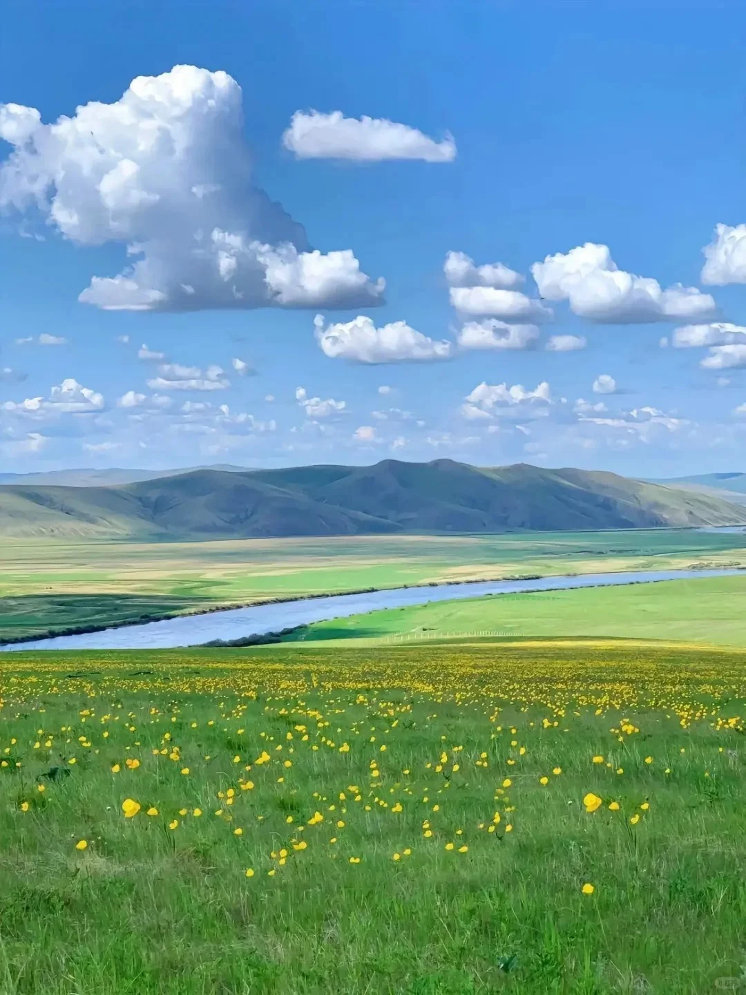 以为新疆已经很美了，直到我去了坝上草原