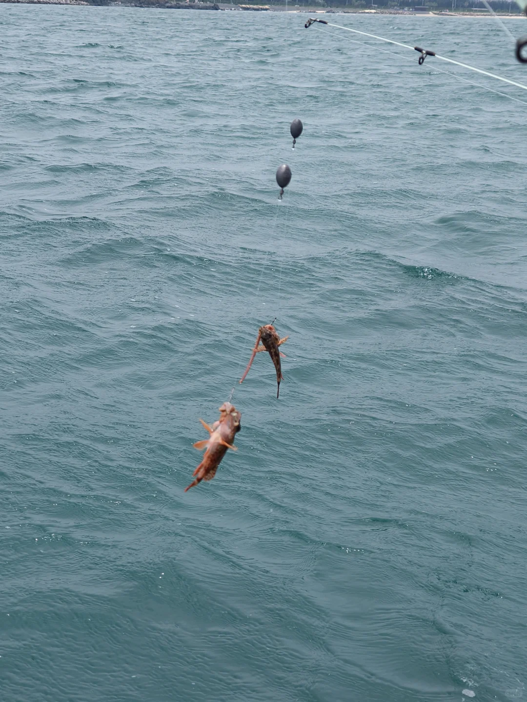 端午平潭岛已去，真实感受攻略来啦