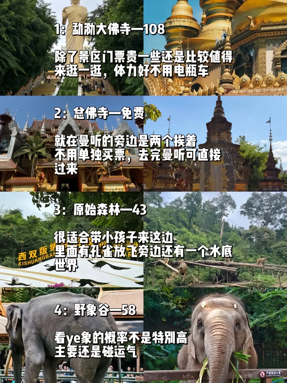 🌴✨西双版纳4天3晚自由行攻略