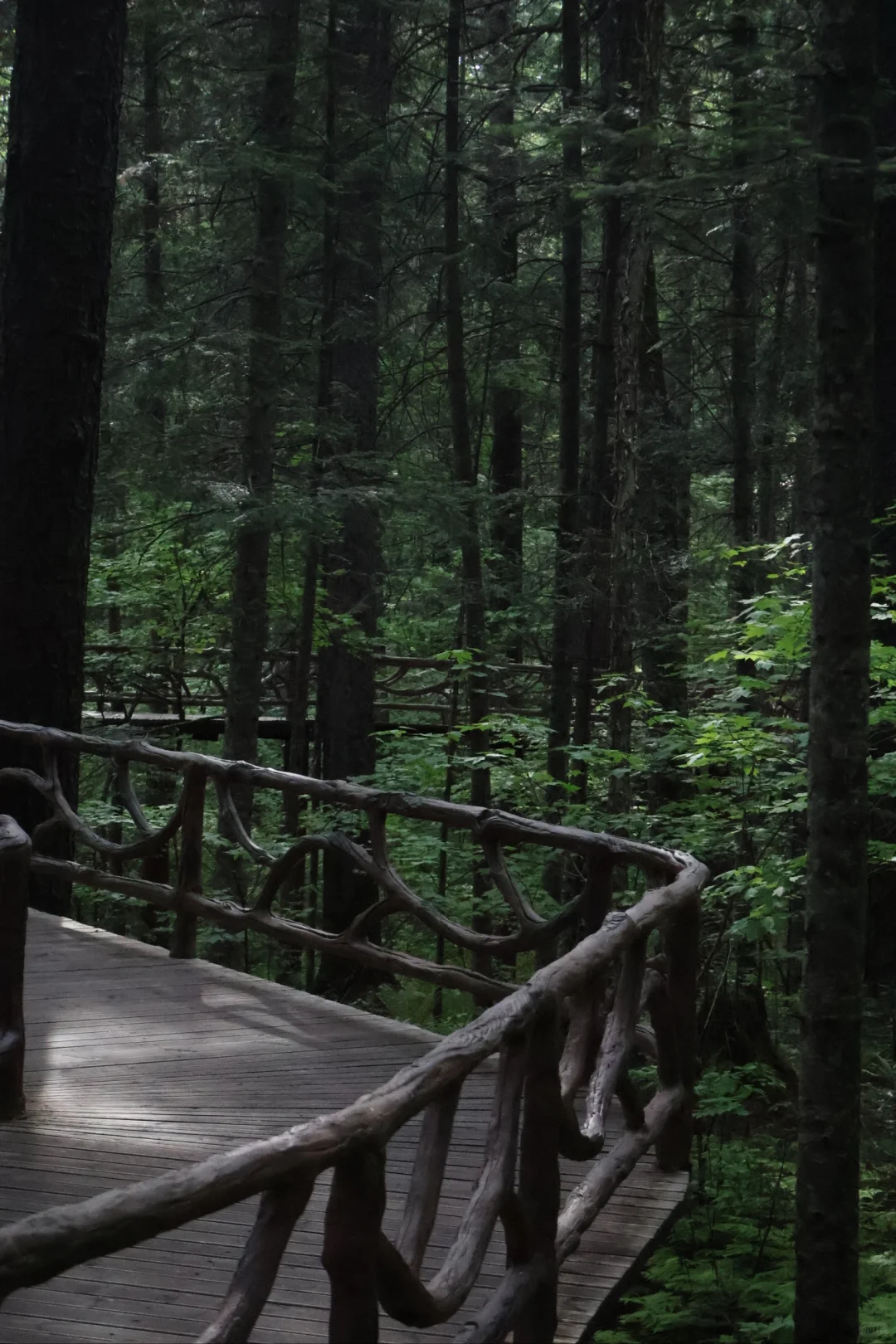 大学生伊春旅行3天2晚花费550元攻略来啦