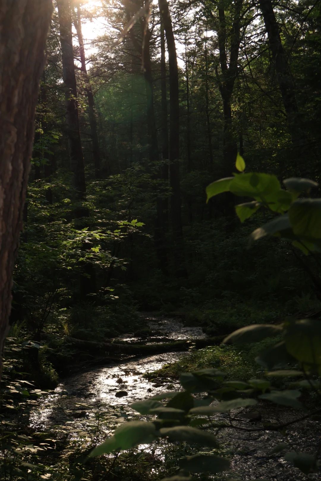 大学生伊春旅行3天2晚花费550元攻略来啦