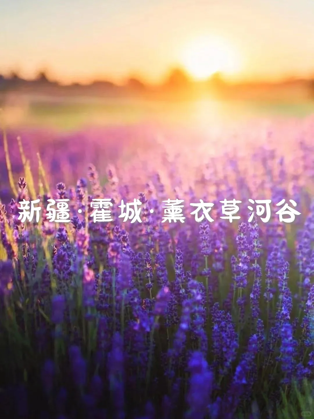 国内6个梦幻旅行天花板,美到失语