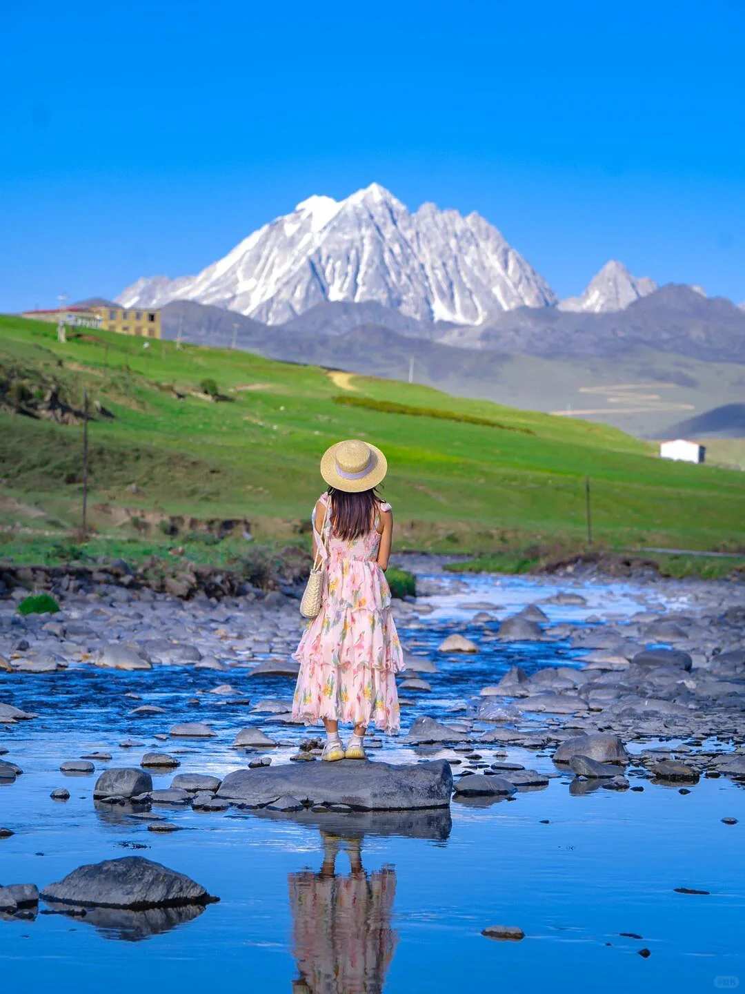 夏天的川西,已经美到next level了…