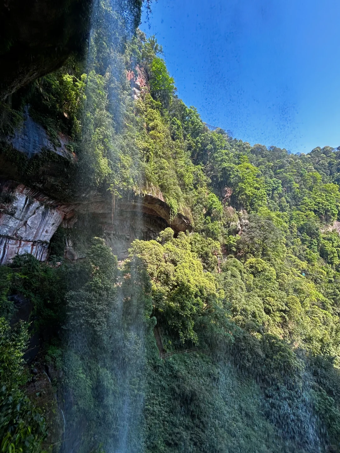 对我的赤水旅游攻略简直满意到睡不着❗️❗