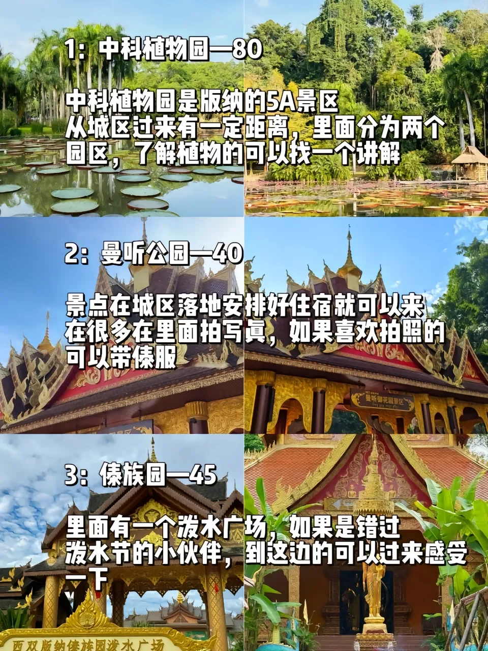 🌴✨西双版纳4天3晚自由行攻略