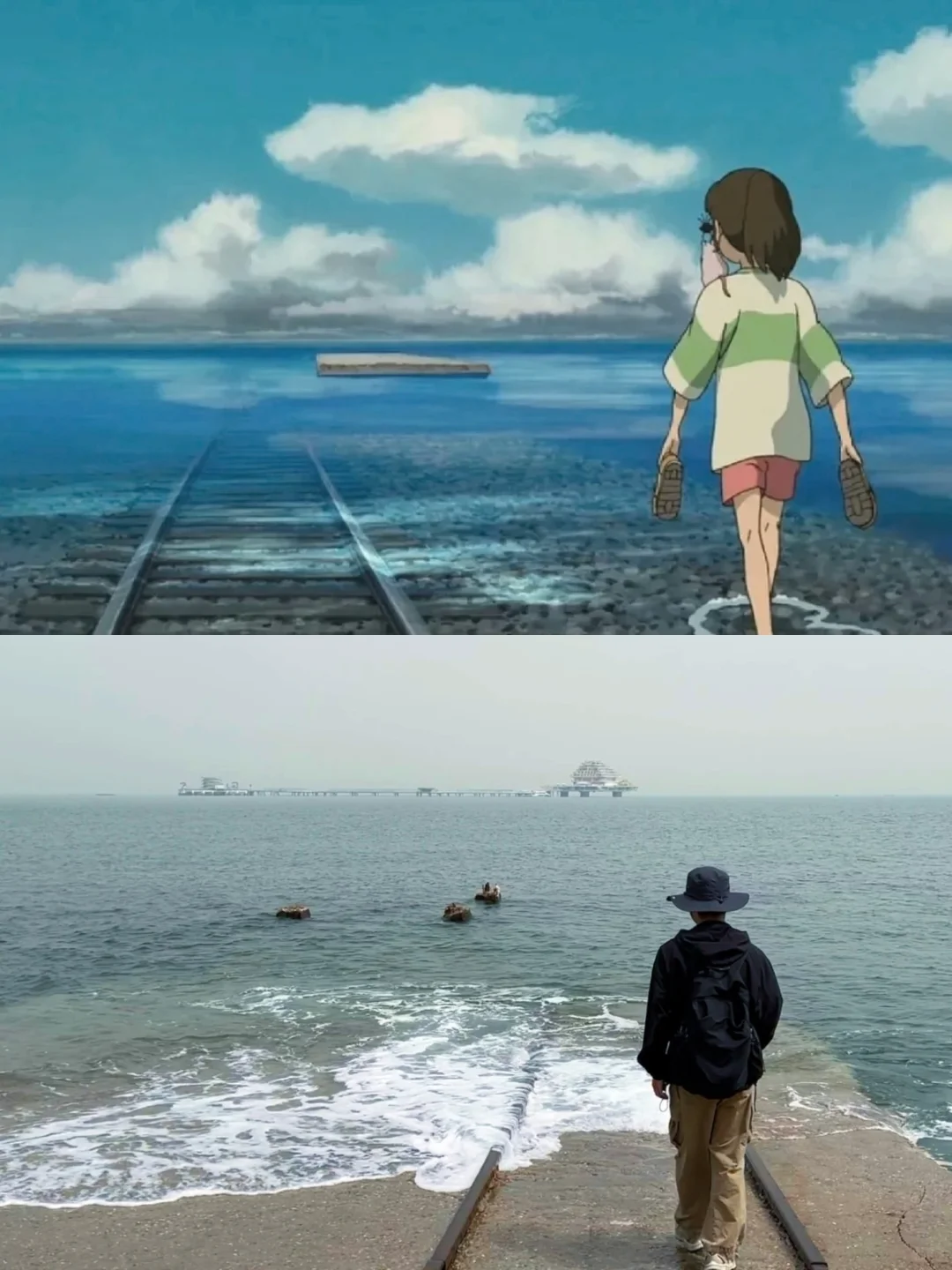 青岛威海烟台大连丨11天10夜一人行旅游攻略