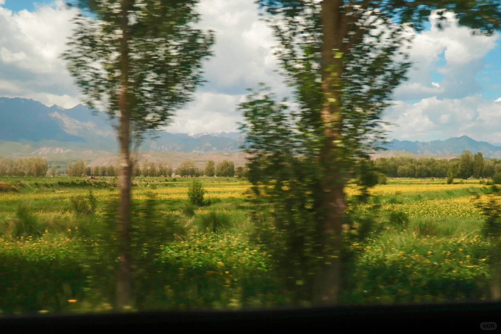 迷茫的年轻人确实把旅行捧得太高了