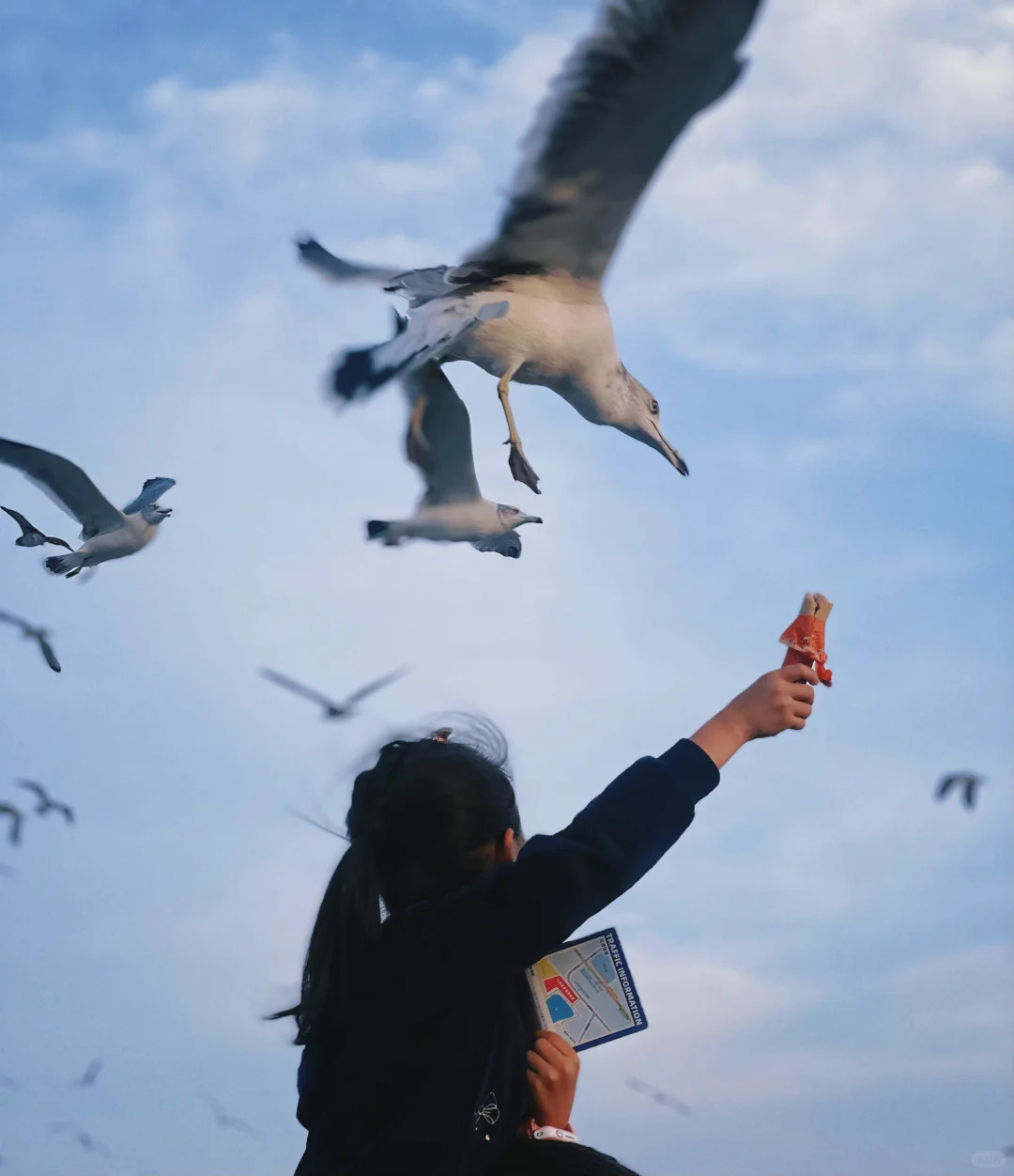 青岛-威海-烟台-大连丨9天自由行