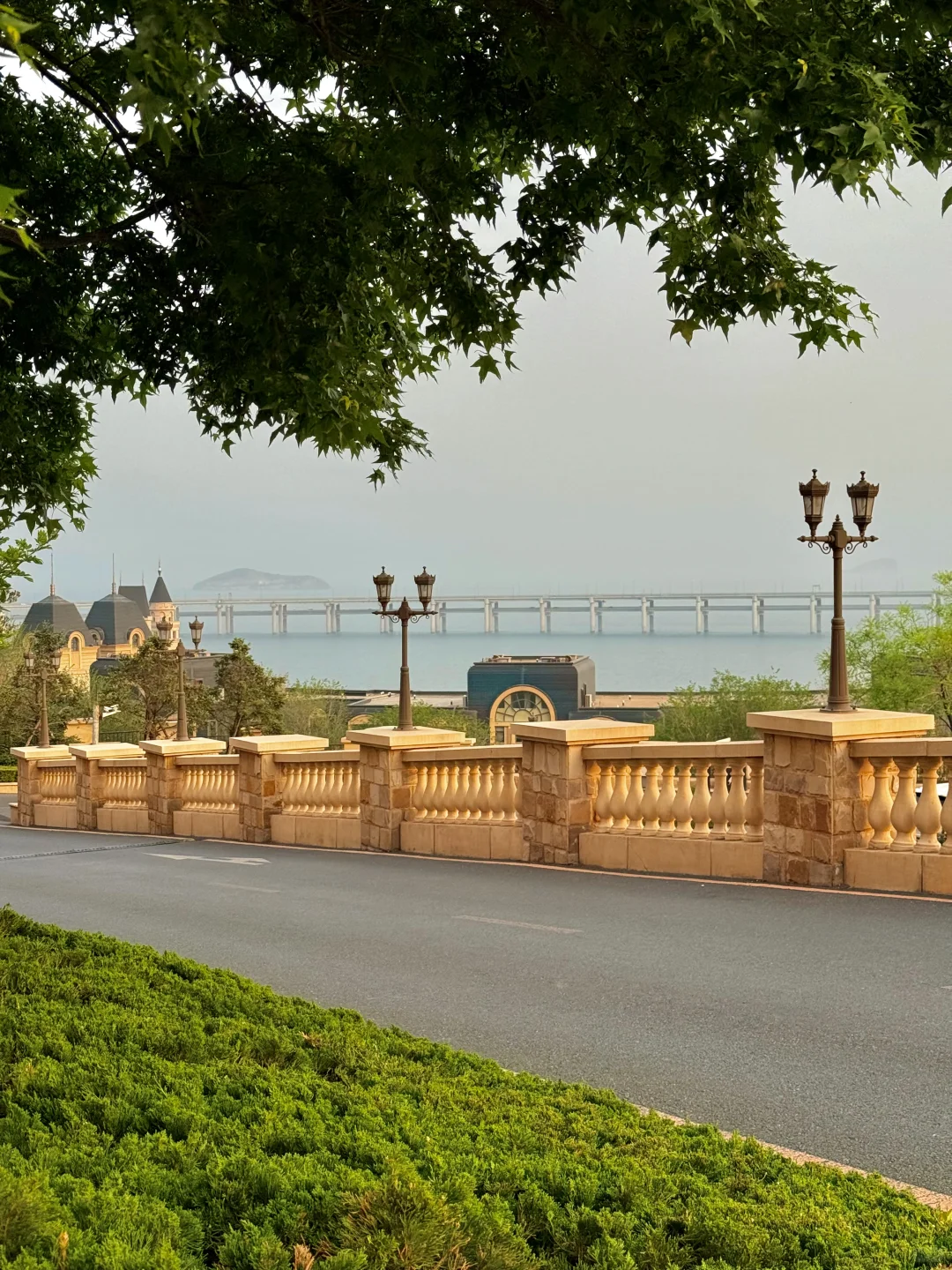 刚离开大连,哭着发出18张live图!😭