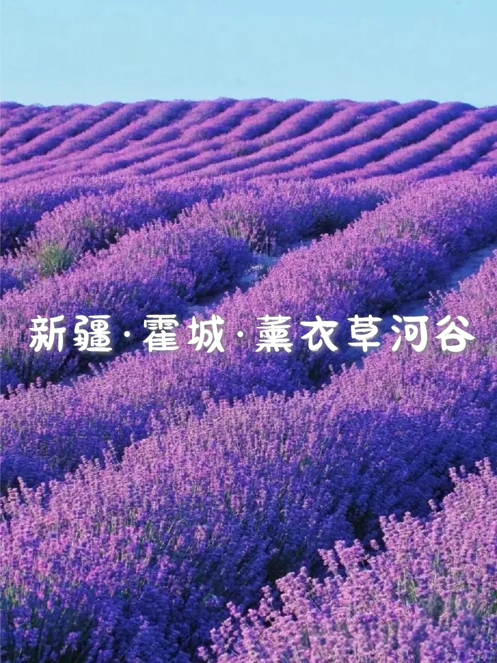 国内6个梦幻旅行天花板,美到失语