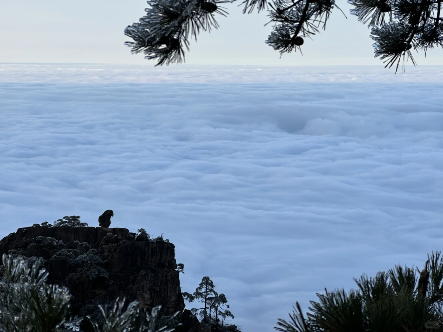 国内自然景观top5（仅限大陆地区）