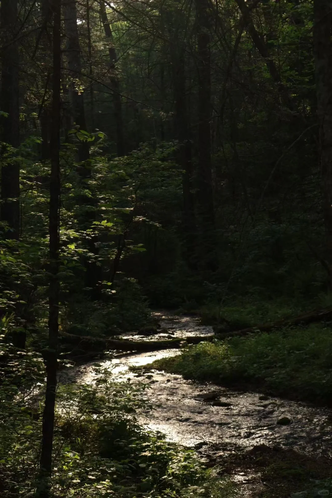 大学生伊春旅行3天2晚花费550元攻略来啦