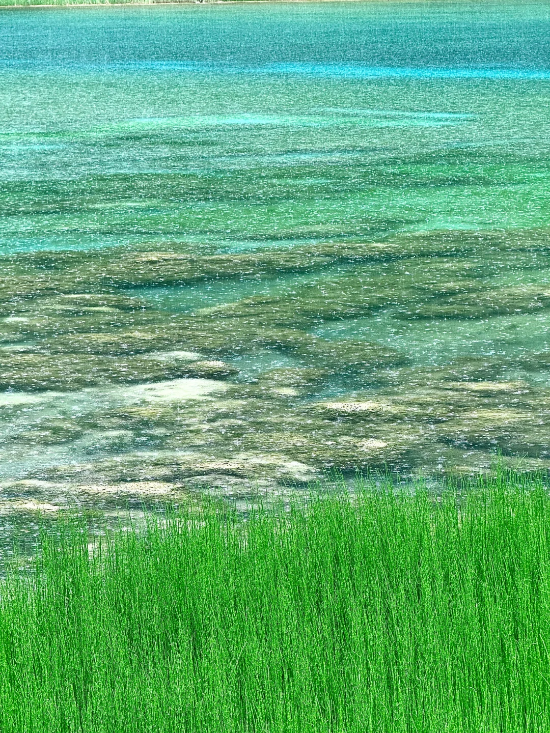 6.1实拍，下雨的九寨沟是星河。。。美到失语🥹