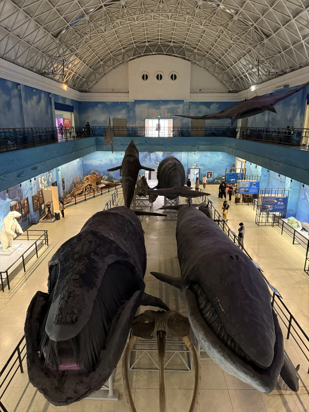 刚离开大连,哭着发出18张live图!😭