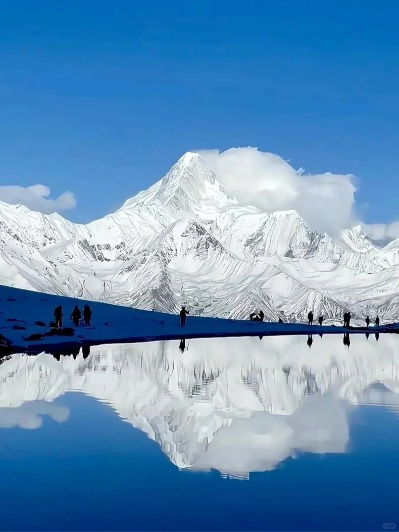 夏天的川西,已经美到next level了…