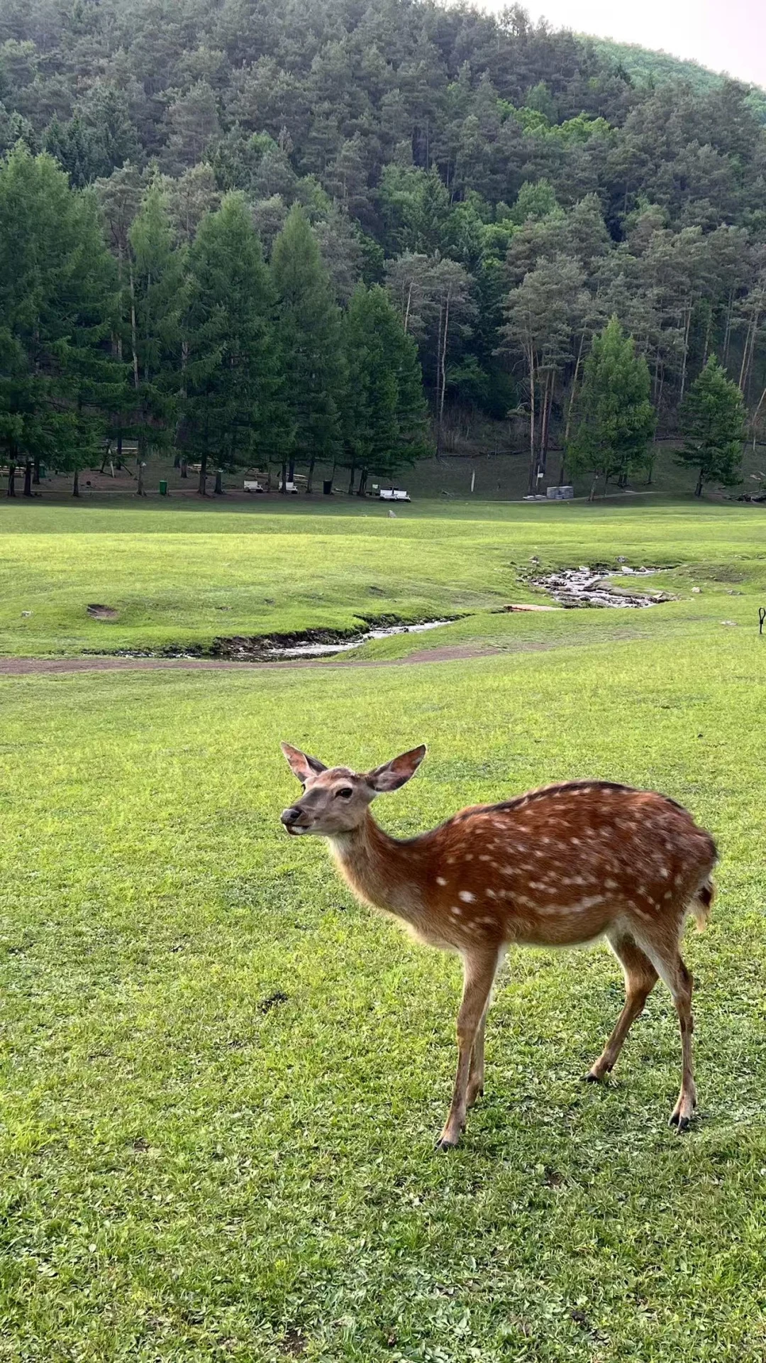 大学生伊春旅行3天2晚花费550元攻略来啦